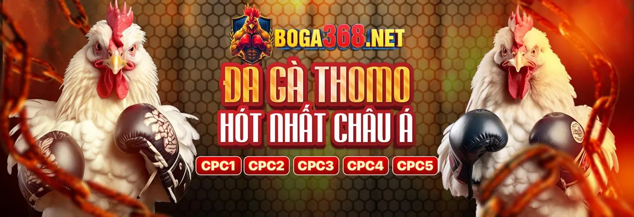 Giao diện ứng dụng Sbobet trên điện thoại di động